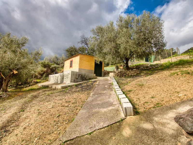 Unique opportunity in Alcaucín!