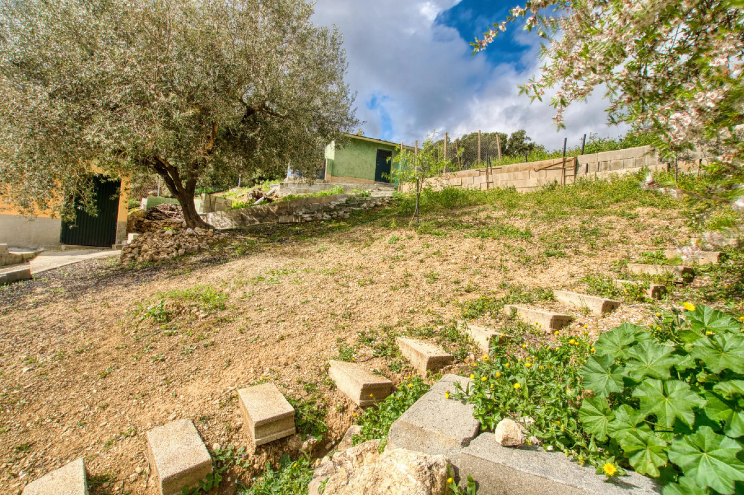 Unique opportunity in Alcaucín!