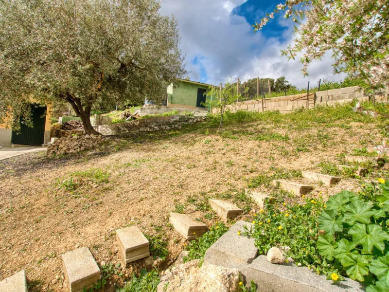 Unique opportunity in Alcaucín!