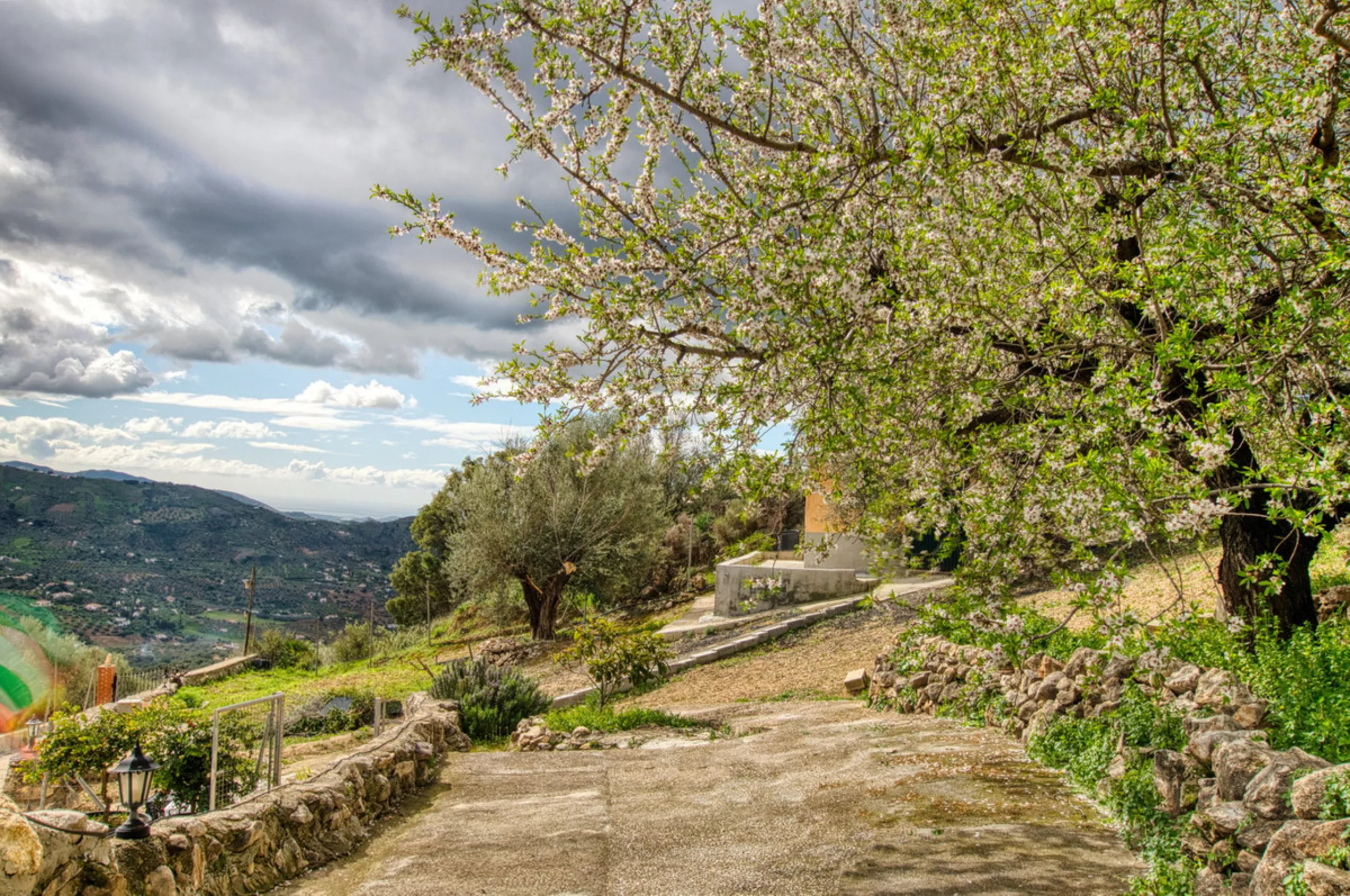 Unique opportunity in Alcaucín!