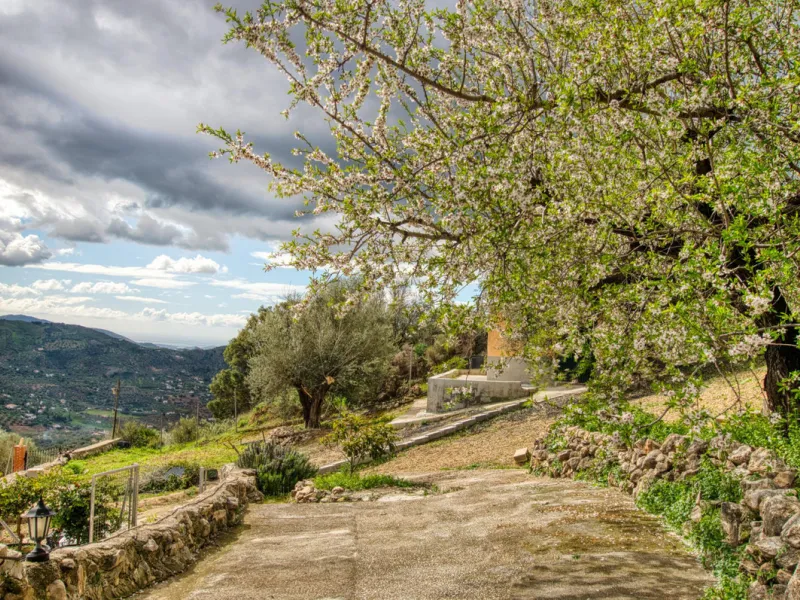Unique opportunity in Alcaucín!