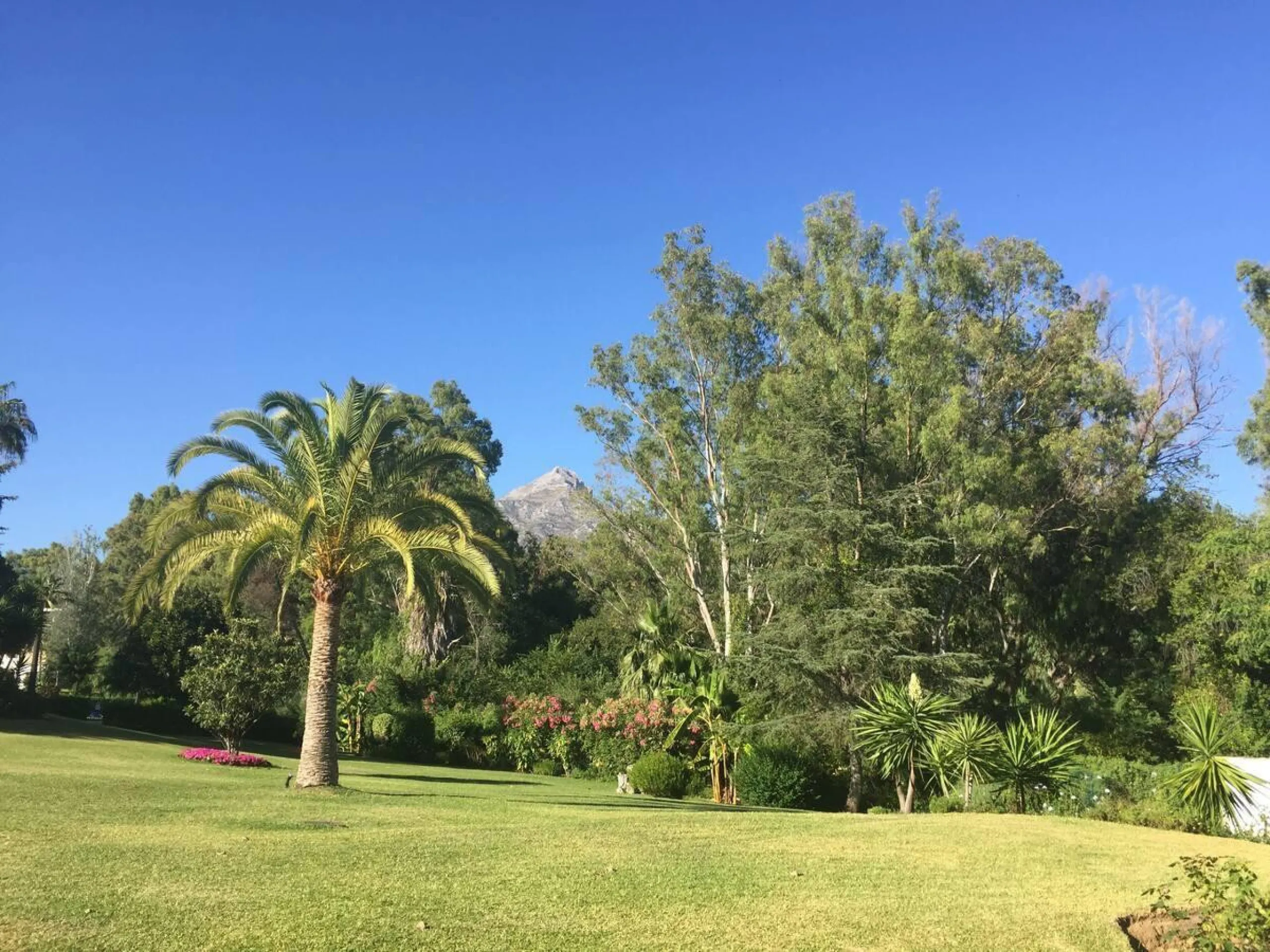 Located in one of the most established and beautifully maintained urbanisations in Nueva Andalucía, this charming two bedroom, two bathroom apartment offers comfort, space and an exceptional lifestyle setting in the heart of the Golf Valley.