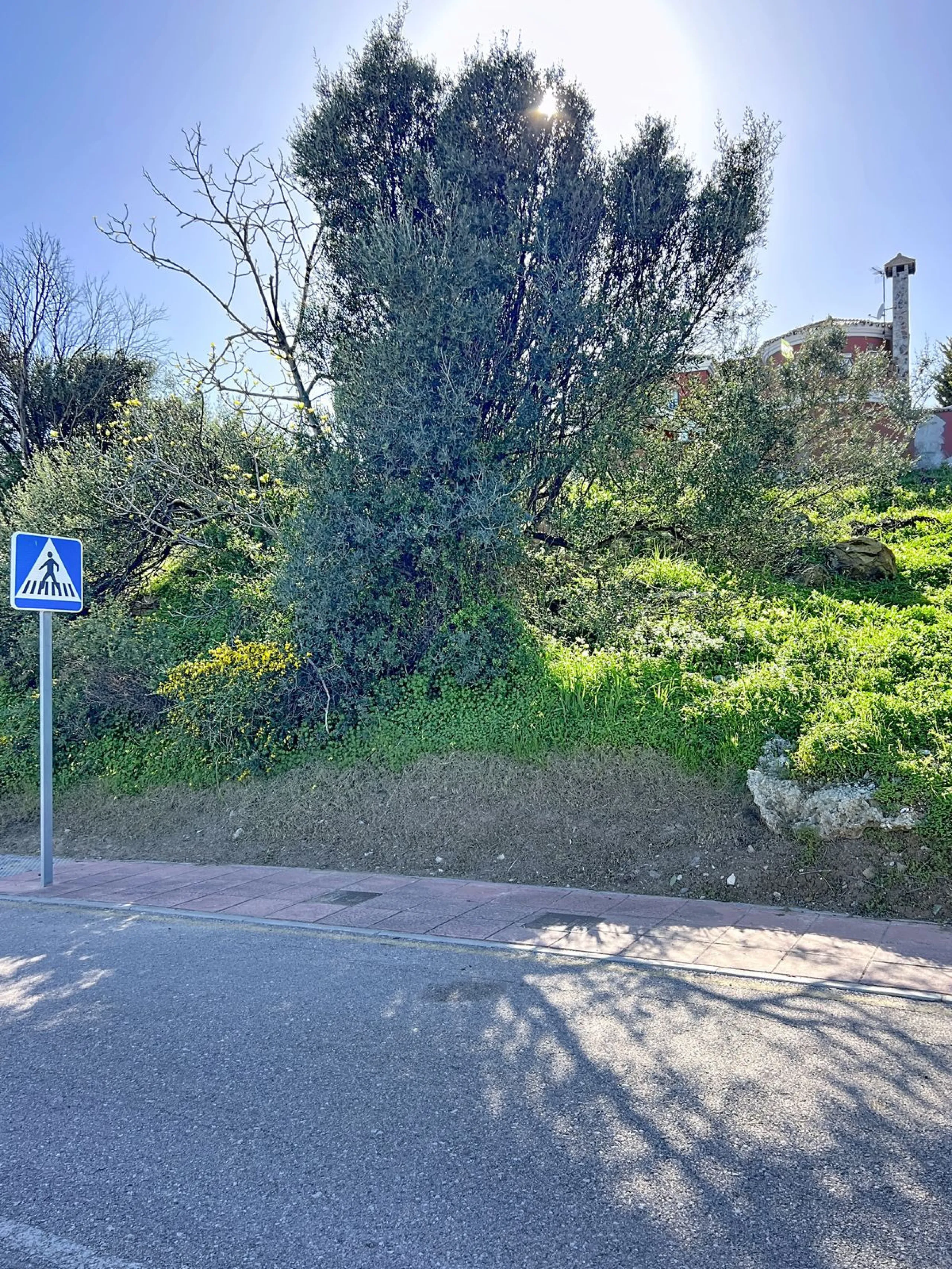 Prime Sea View Building Plot with License – 573 m²