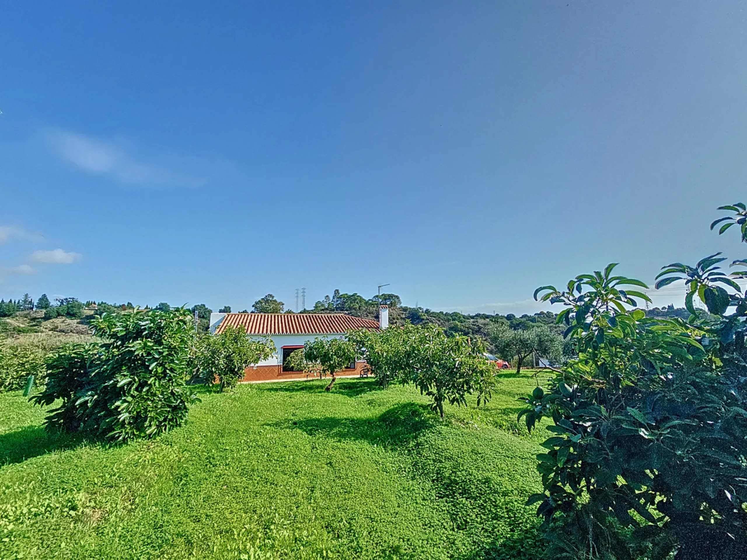 Located in the tranquil area of El Padron, in Estepona East, this estate offers a perfect retreat for those seeking to combine the serenity of the countryside with proximity to the city. With an extensive area of 6,096m², the property stands out for its p