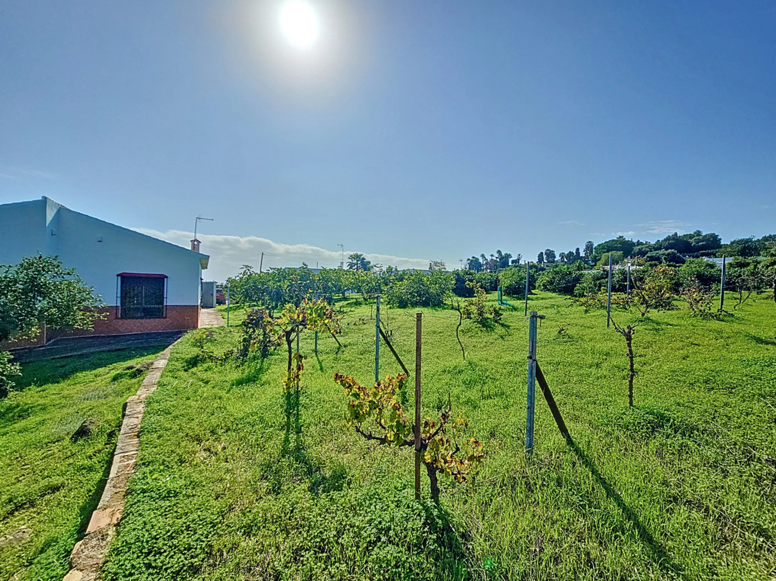 Located in the tranquil area of El Padron, in Estepona East, this estate offers a perfect retreat for those seeking to combine the serenity of the countryside with proximity to the city. With an extensive area of 6,096m², the property stands out for its p