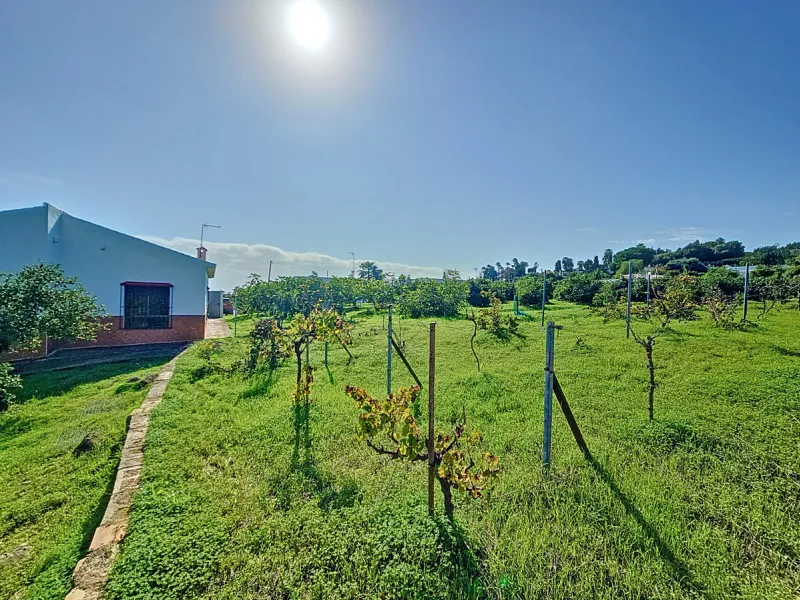 Located in the tranquil area of El Padron, in Estepona East, this estate offers a perfect retreat for those seeking to combine the serenity of the countryside with proximity to the city. With an extensive area of 6,096m², the property stands out for its p