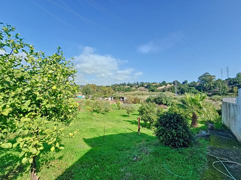 Located in the tranquil area of El Padron, in Estepona East, this estate offers a perfect retreat for those seeking to combine the serenity of the countryside with proximity to the city. With an extensive area of 6,096m², the property stands out for its p