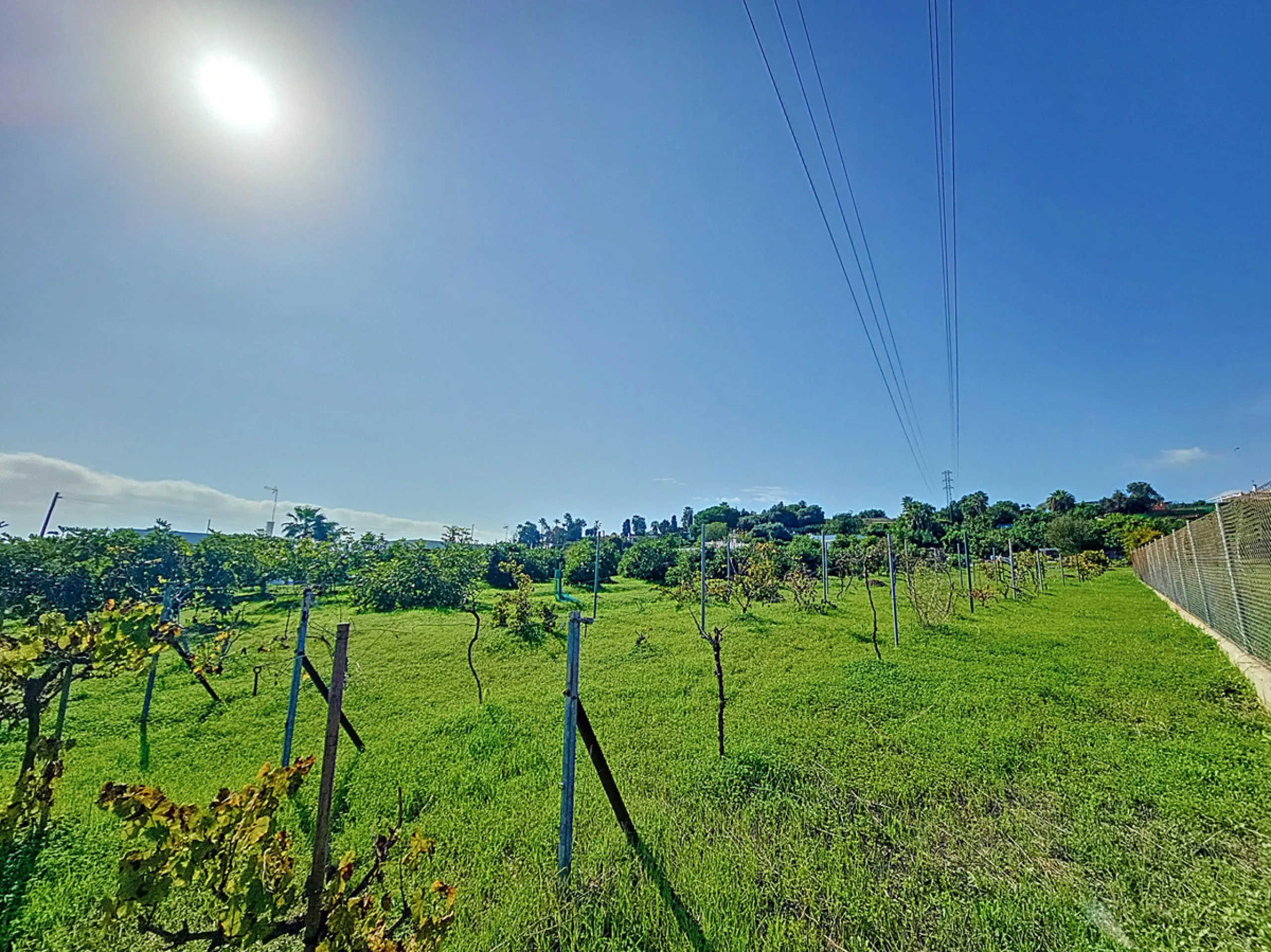 Located in the tranquil area of El Padron, in Estepona East, this estate offers a perfect retreat for those seeking to combine the serenity of the countryside with proximity to the city. With an extensive area of 6,096m², the property stands out for its p