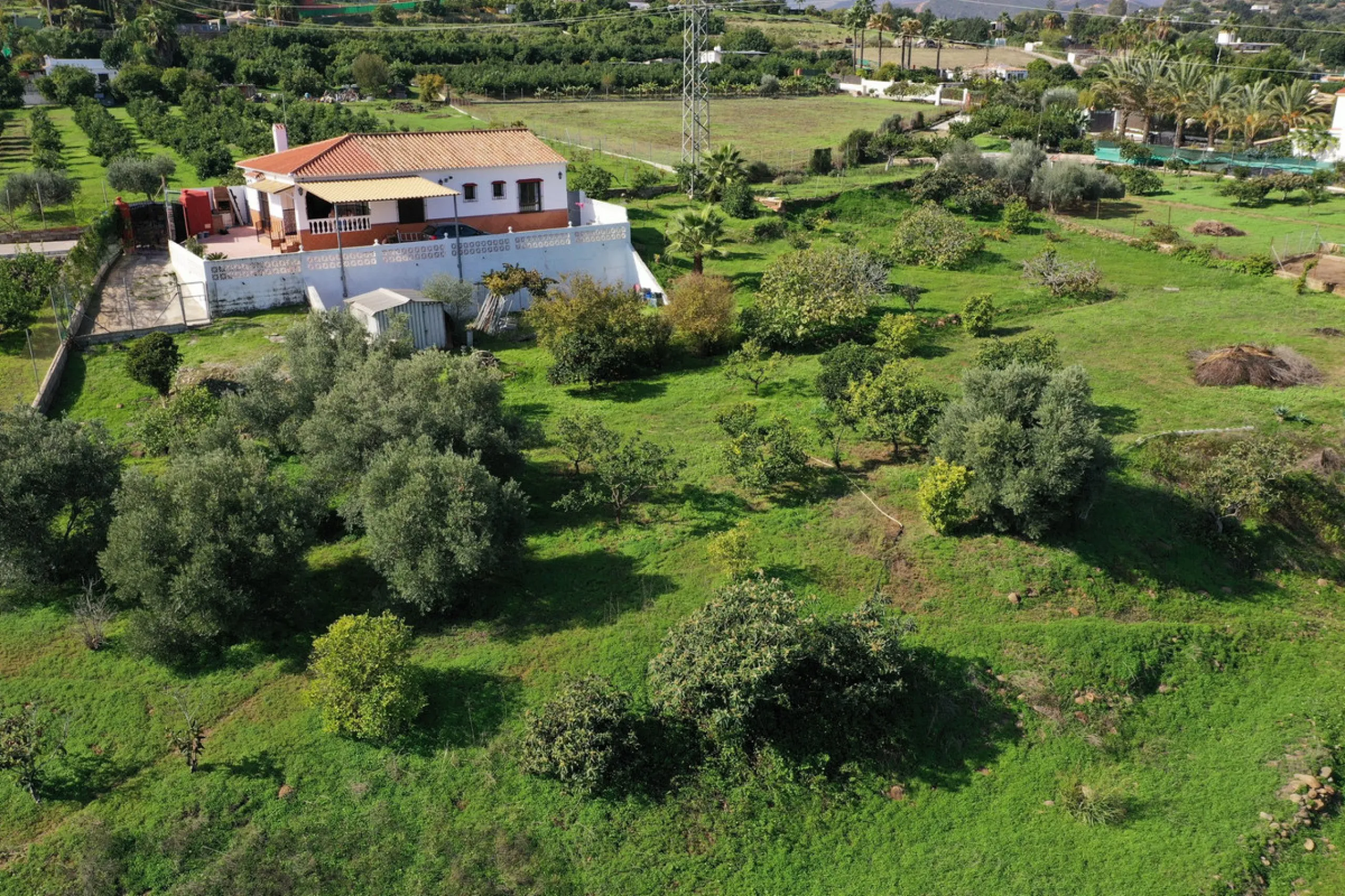 Located in the tranquil area of El Padron, in Estepona East, this estate offers a perfect retreat for those seeking to combine the serenity of the countryside with proximity to the city. With an extensive area of 6,096m², the property stands out for its p