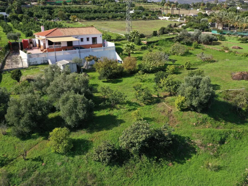 Located in the tranquil area of El Padron, in Estepona East, this estate offers a perfect retreat for those seeking to combine the serenity of the countryside with proximity to the city. With an extensive area of 6,096m², the property stands out for its p