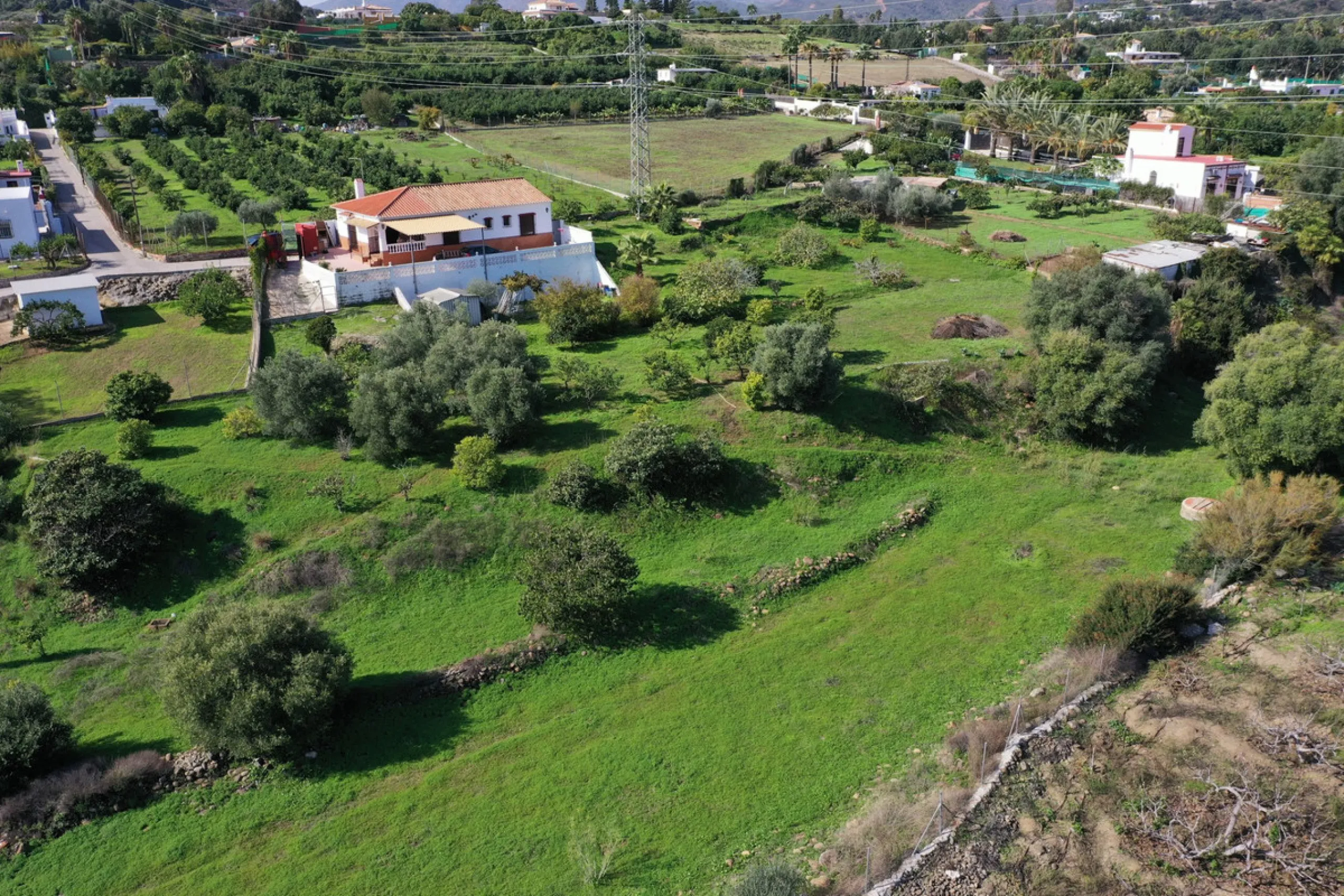Located in the tranquil area of El Padron, in Estepona East, this estate offers a perfect retreat for those seeking to combine the serenity of the countryside with proximity to the city. With an extensive area of 6,096m², the property stands out for its p