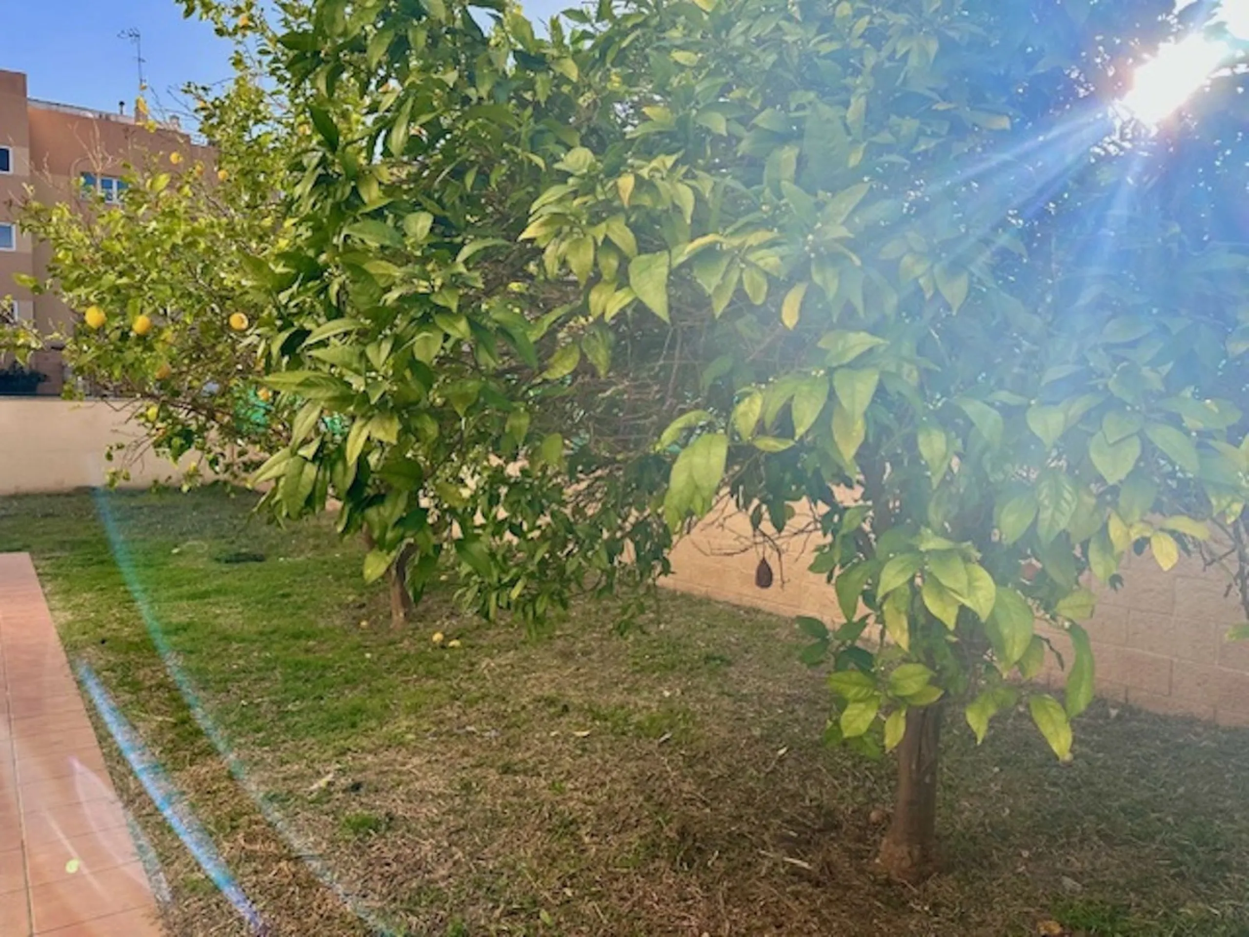 Apartment - Ground Floor Apartment в продаже в Estepona, Málaga. В доме 3 спален и 3 ванных комнат. Площадь дома 87 м²