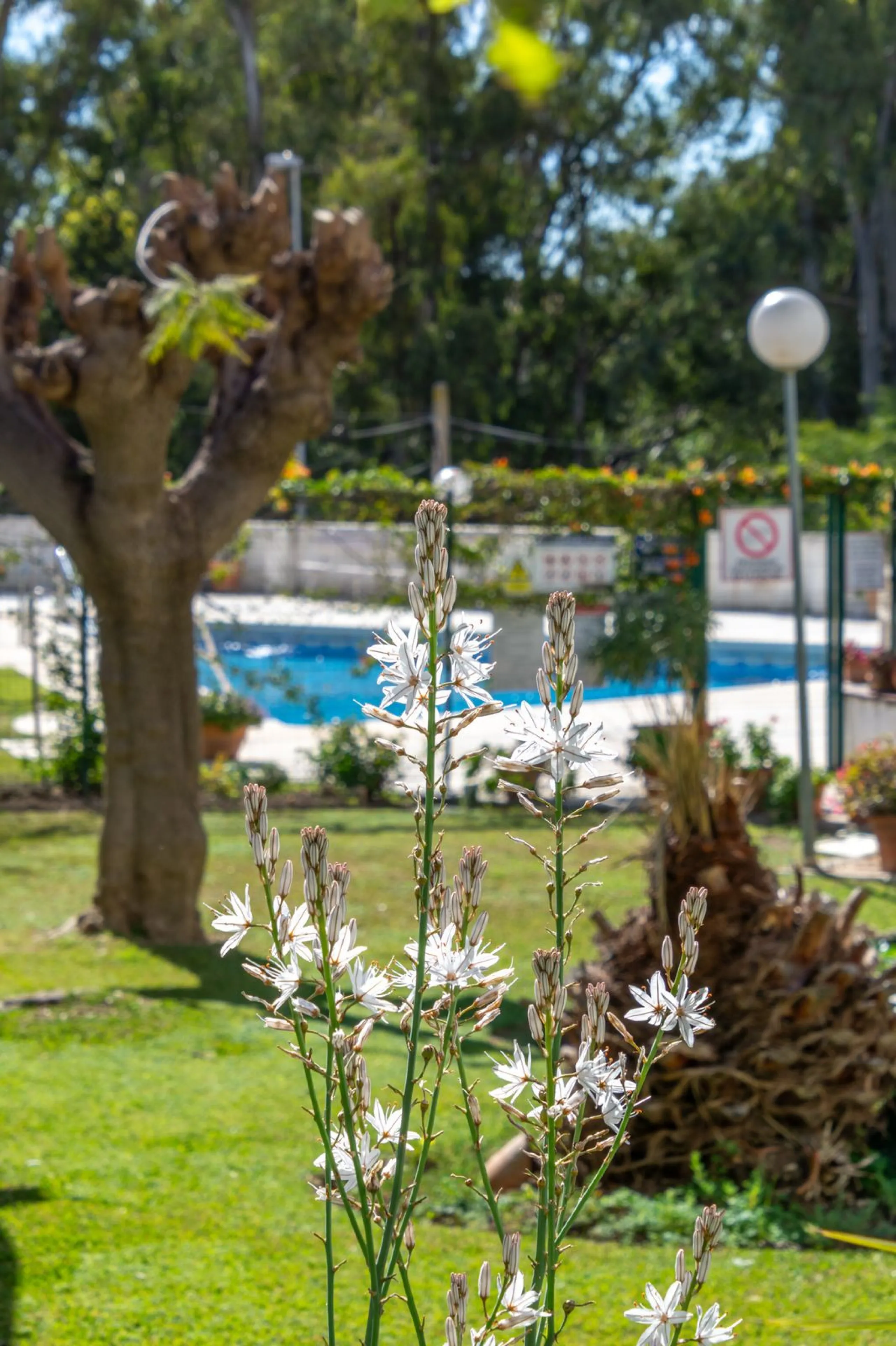 A charming 2 bedroom apartment very close to the Beach in Torreblanca in Fuengirola