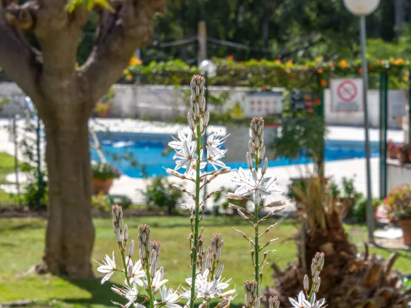 A charming 2 bedroom apartment very close to the Beach in Torreblanca in Fuengirola