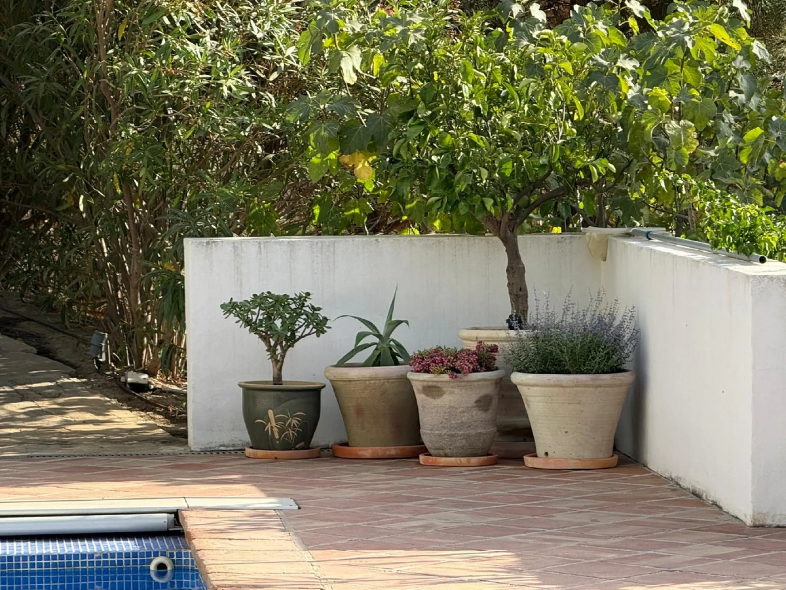 House - Detached Villa в продаже в Mijas, Málaga. В доме 4 спален и 3 ванных комнат. Площадь дома 500 м²