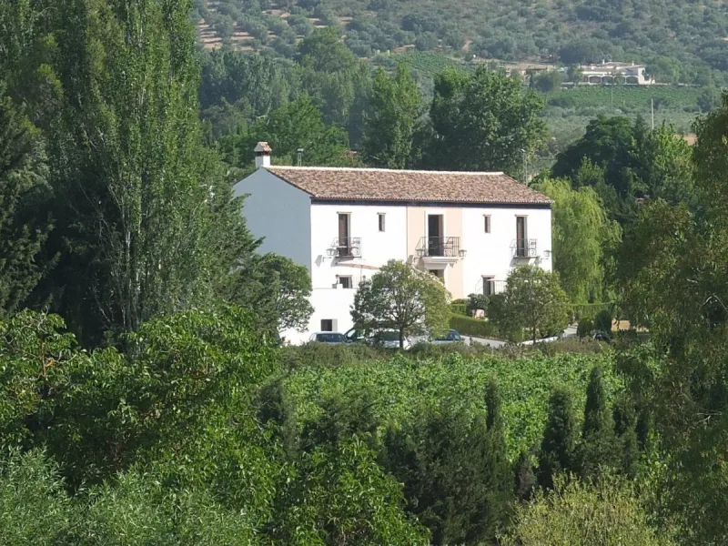 Discover the ultimate Andalusian retreat. A 4-star boutique estate offers a rare blend of historic charm and modern luxury, just 10 minutes from the iconic center of Ronda. This impeccably restored 7-bedroom Cortijo (traditional farmhouse) nestled in the 