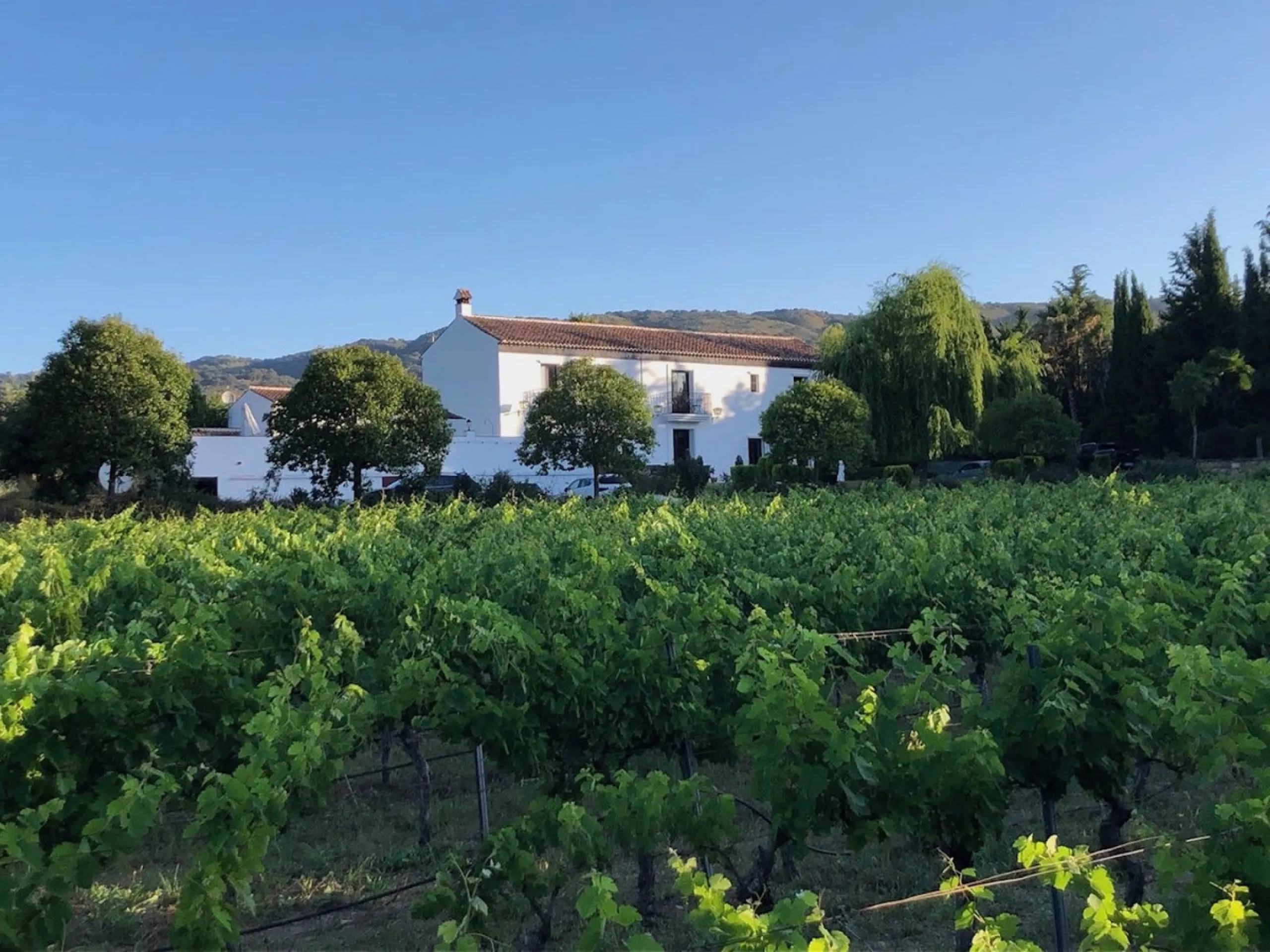 Discover the ultimate Andalusian retreat. A 4-star boutique estate offers a rare blend of historic charm and modern luxury, just 10 minutes from the iconic center of Ronda. This impeccably restored 7-bedroom Cortijo (traditional farmhouse) nestled in the 