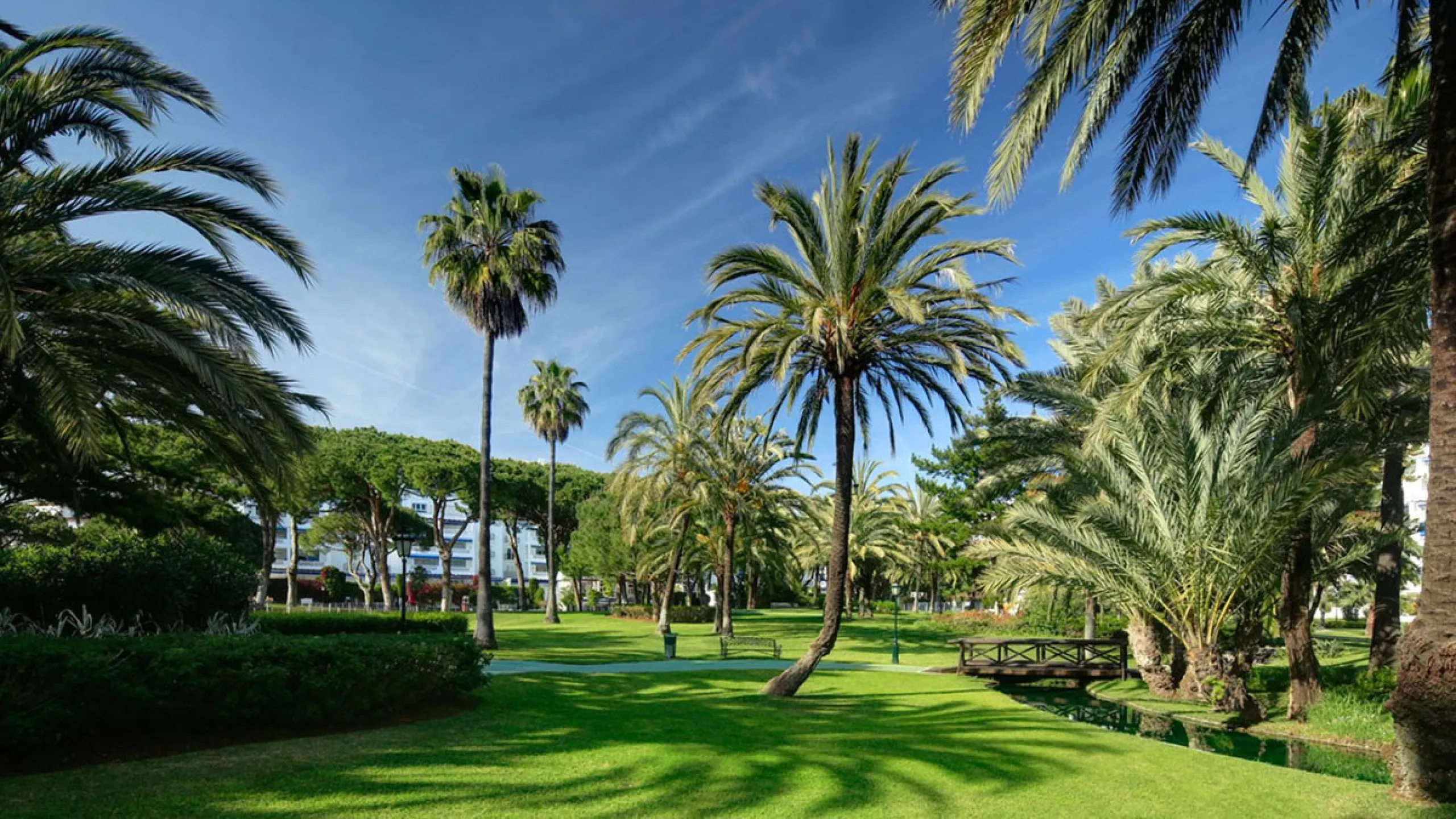 A prime apartment for sale in Puerto Banús, located within the prestigious beachfront Club Playas del Duque complex.