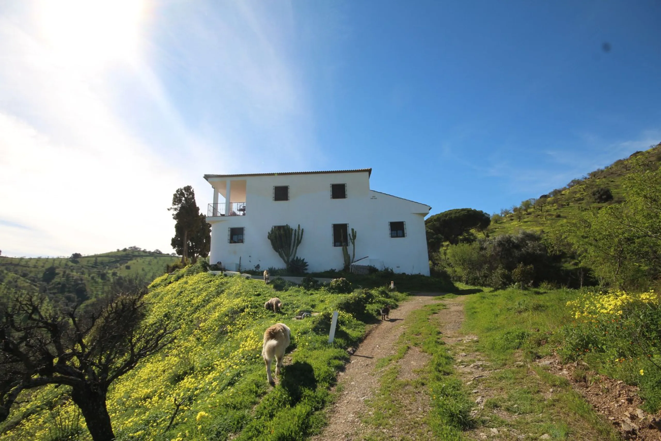 A Rare Opportunity to Own Over 300 Years of History