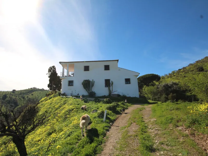 A Rare Opportunity to Own Over 300 Years of History