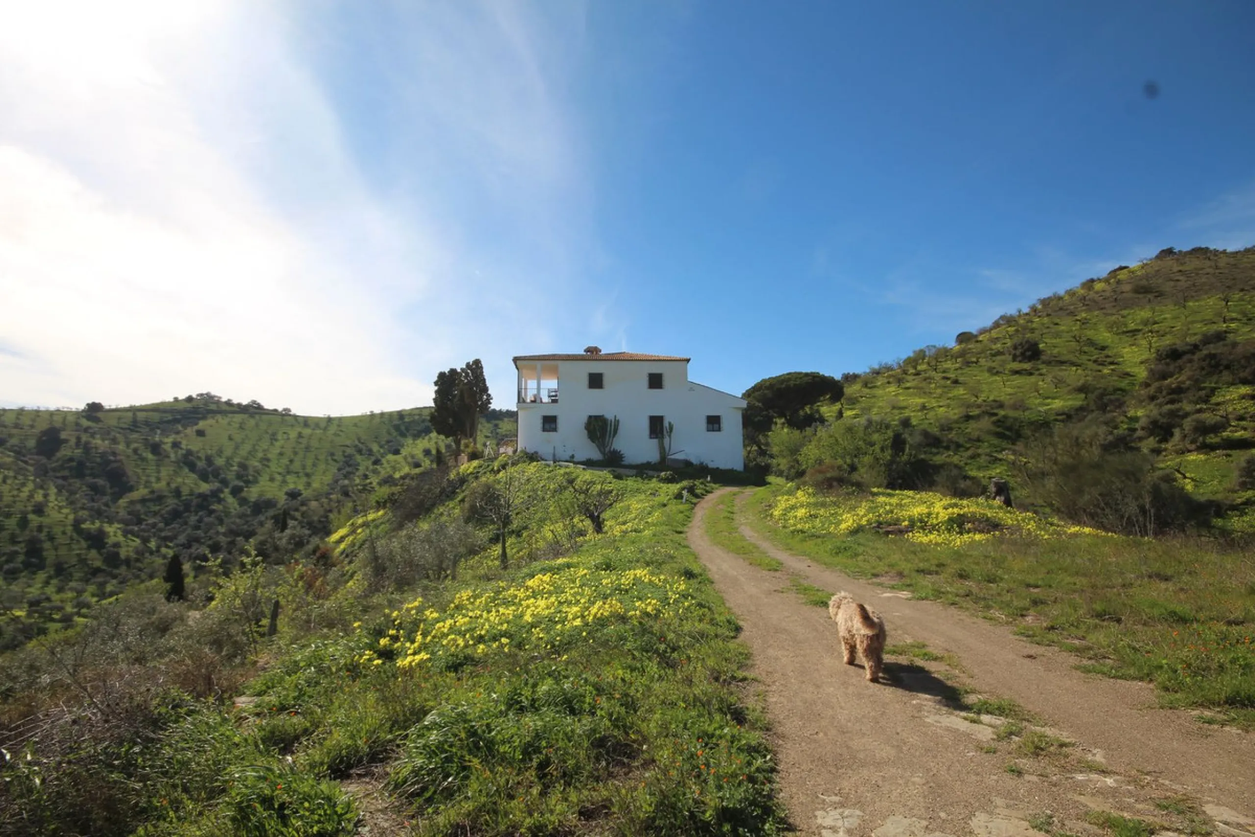 A Rare Opportunity to Own Over 300 Years of History