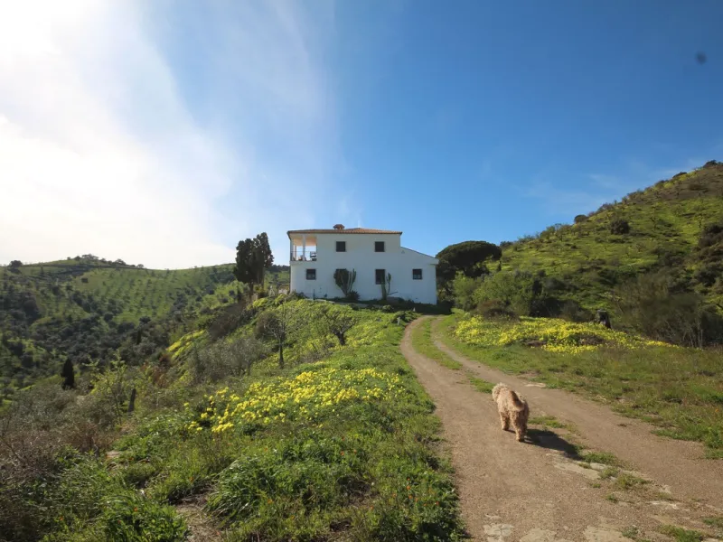A Rare Opportunity to Own Over 300 Years of History