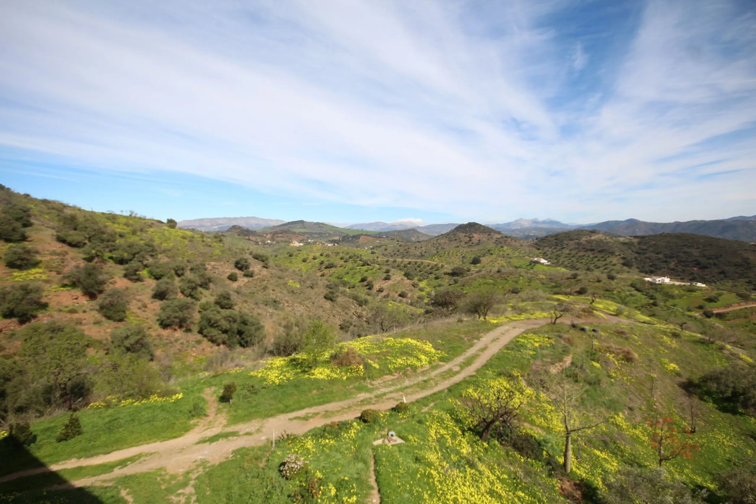 A Rare Opportunity to Own Over 300 Years of History