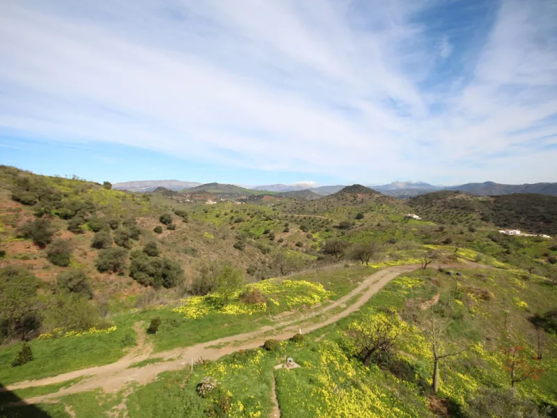 A Rare Opportunity to Own Over 300 Years of History