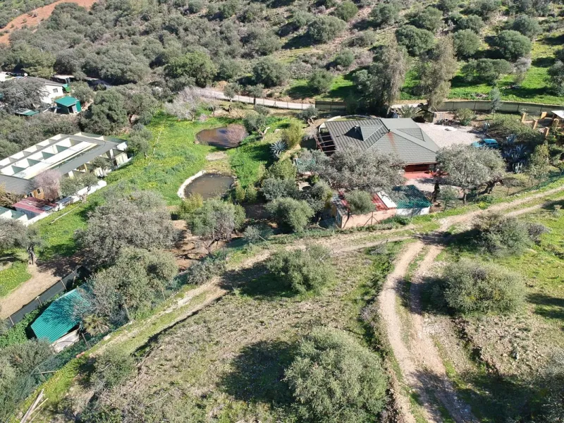 Exclusive Falcon Farm & Private Estate in Andalucía, Spain