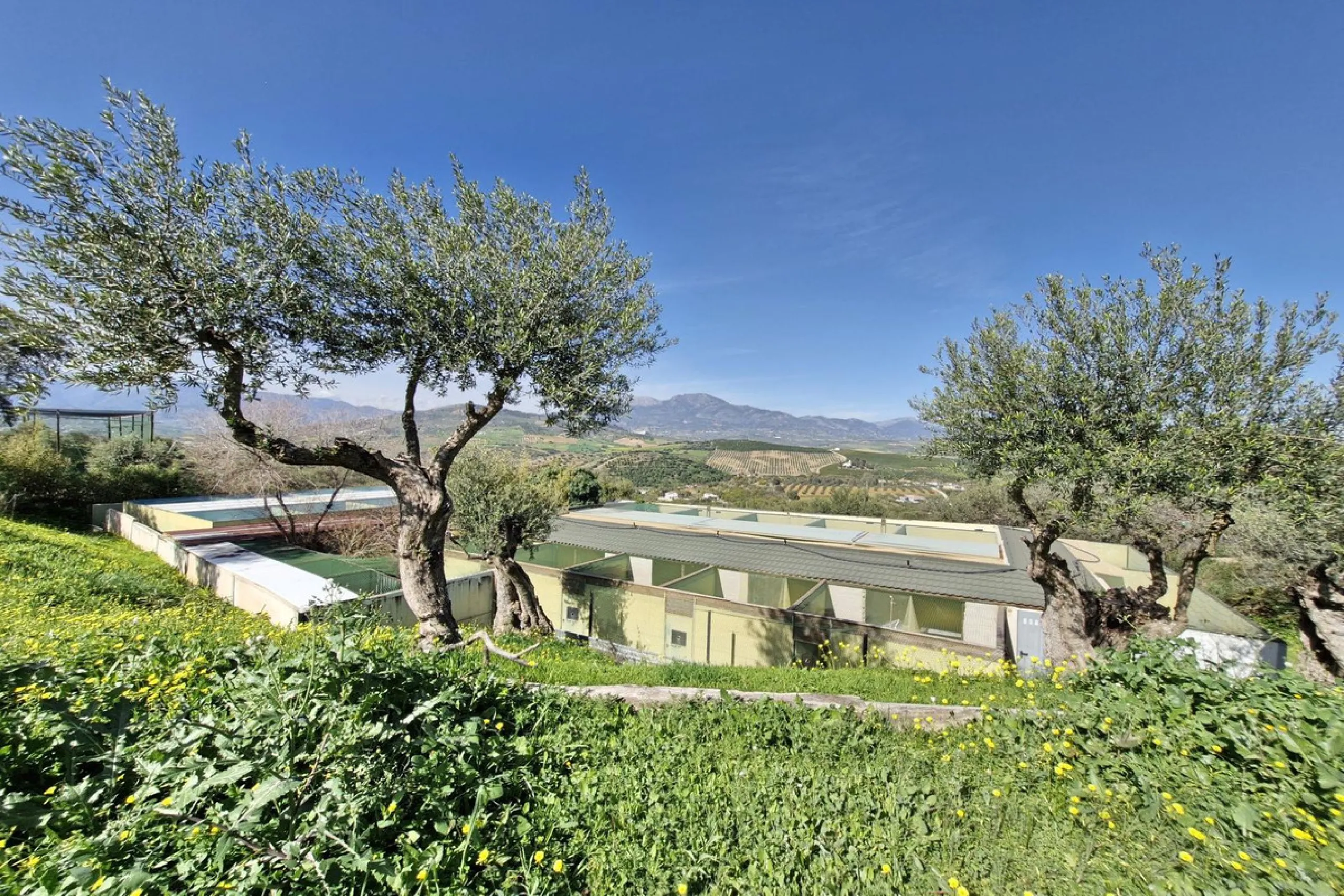 Commercial - Farm в продаже в Coín, Málaga. В доме 3 спален и 2 ванных комнат. Площадь дома 163 м². Площадь участка 10620 м²