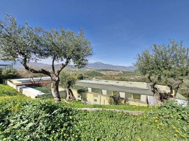 Commercial - Farm в продаже в Coín, Málaga. В доме 3 спален и 2 ванных комнат. Площадь дома 163 м². Площадь участка 10620 м²