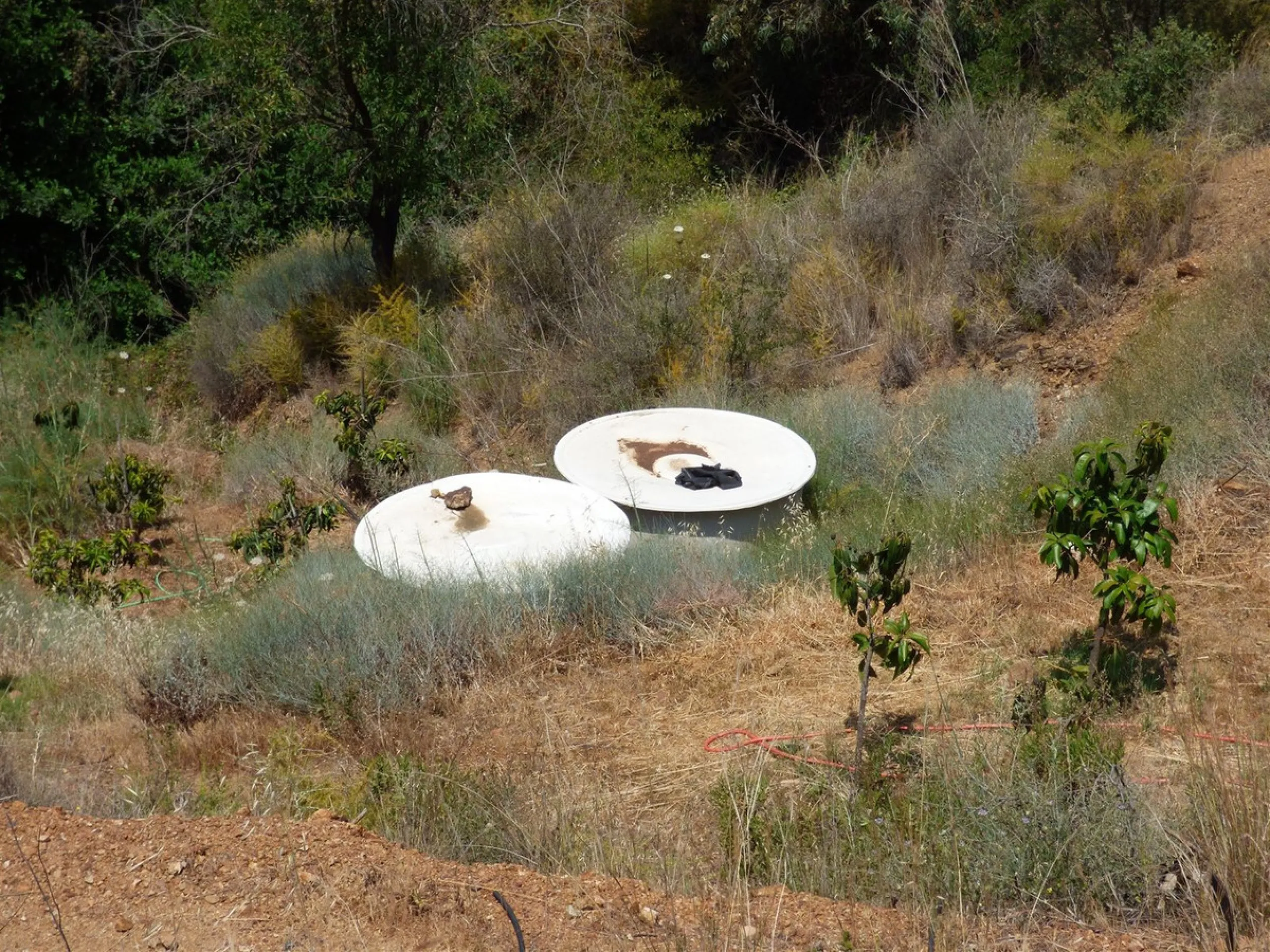 House - Finca - Cortijo в продаже в Mijas, Málaga. В доме 6 спален и 3 ванных комнат. Площадь дома 220 м². Площадь участка 4200 м²