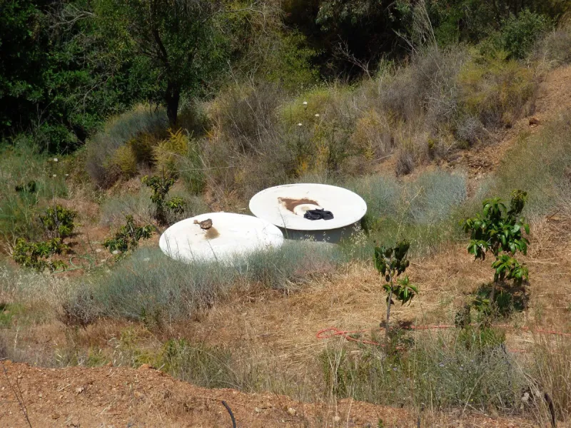 House - Finca - Cortijo в продаже в Mijas, Málaga. В доме 6 спален и 3 ванных комнат. Площадь дома 220 м². Площадь участка 4200 м²