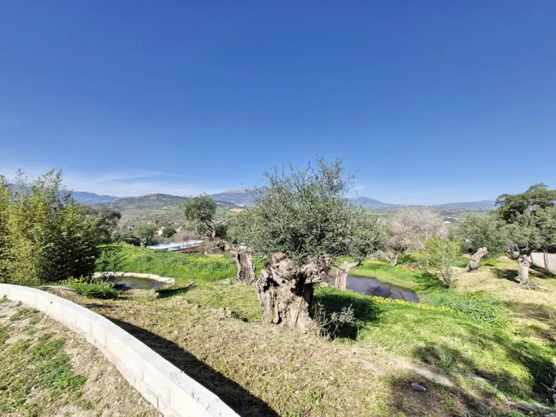 Commercial - Farm в продаже в Coín, Málaga. В доме 3 спален и 2 ванных комнат. Площадь дома 163 м². Площадь участка 10620 м²