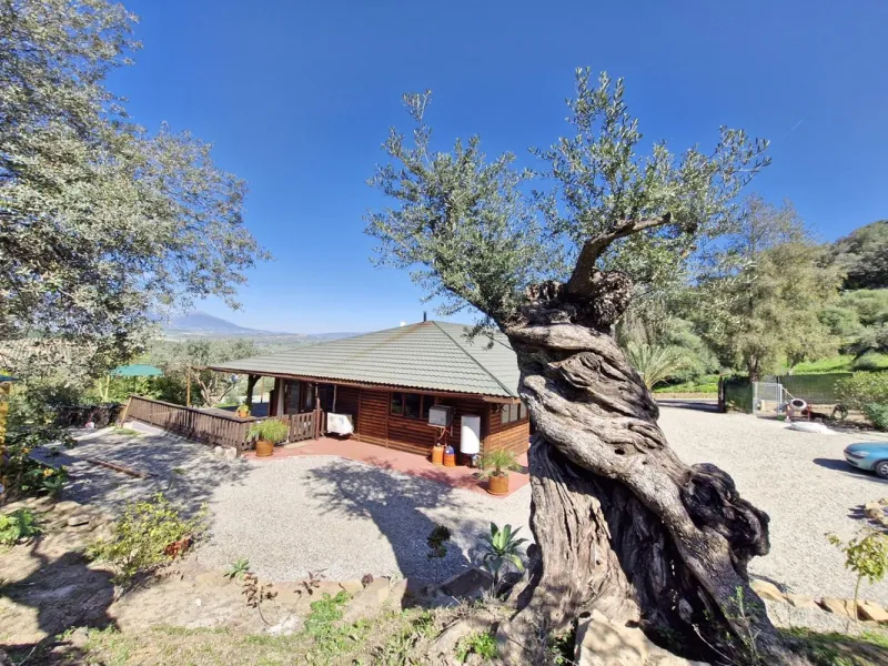 Commercial - Farm в продаже в Coín, Málaga. В доме 3 спален и 2 ванных комнат. Площадь дома 163 м². Площадь участка 10620 м²