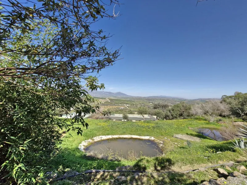 Commercial - Farm в продаже в Coín, Málaga. В доме 3 спален и 2 ванных комнат. Площадь дома 163 м². Площадь участка 10620 м²