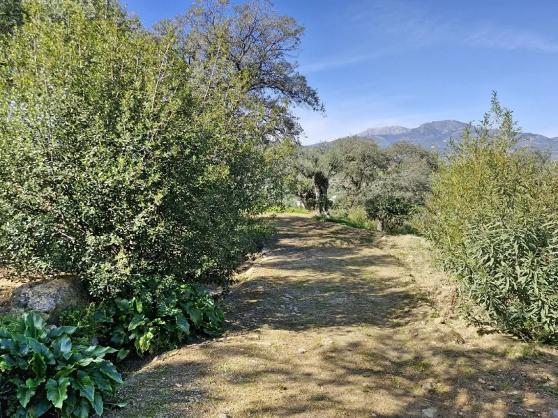 Commercial - Farm в продаже в Coín, Málaga. В доме 3 спален и 2 ванных комнат. Площадь дома 163 м². Площадь участка 10620 м²