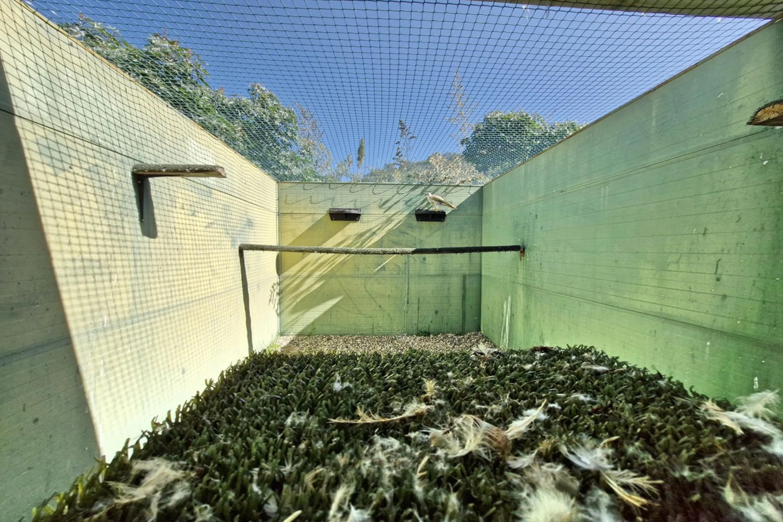 Commercial - Farm в продаже в Coín, Málaga. В доме 3 спален и 2 ванных комнат. Площадь дома 163 м². Площадь участка 10620 м²