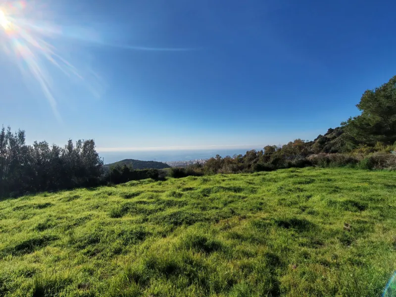 Plot - Land в продаже в Marbella, Málaga. Площадь участка 17000 м²