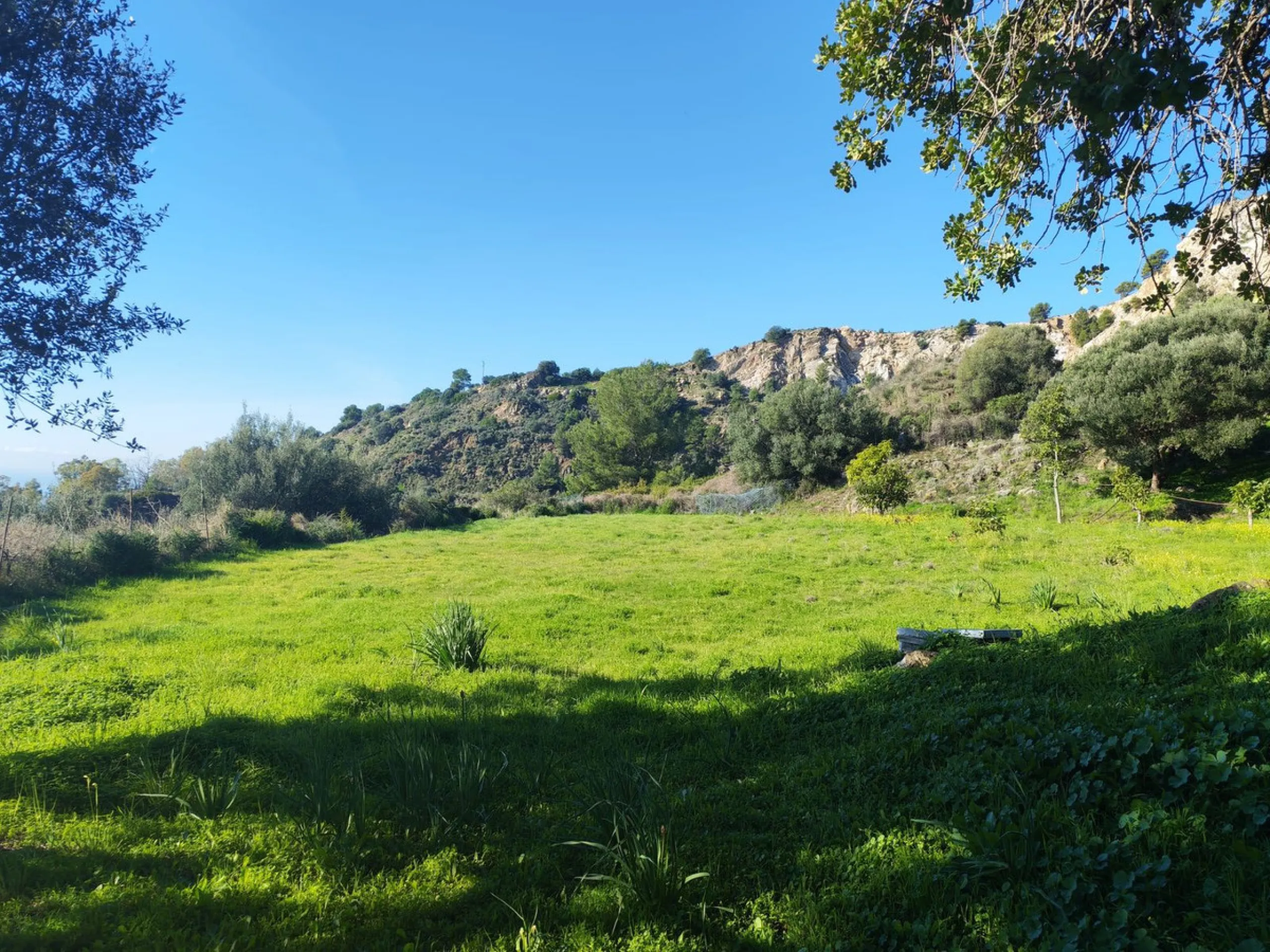 Plot - Land в продаже в Marbella, Málaga. Площадь участка 17000 м²