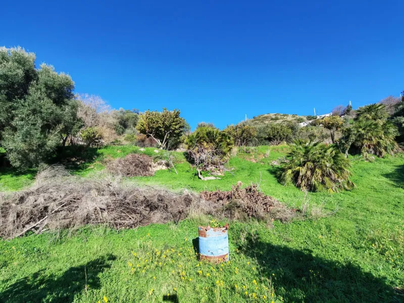 Plot - Land в продаже в Marbella, Málaga. Площадь участка 17000 м²