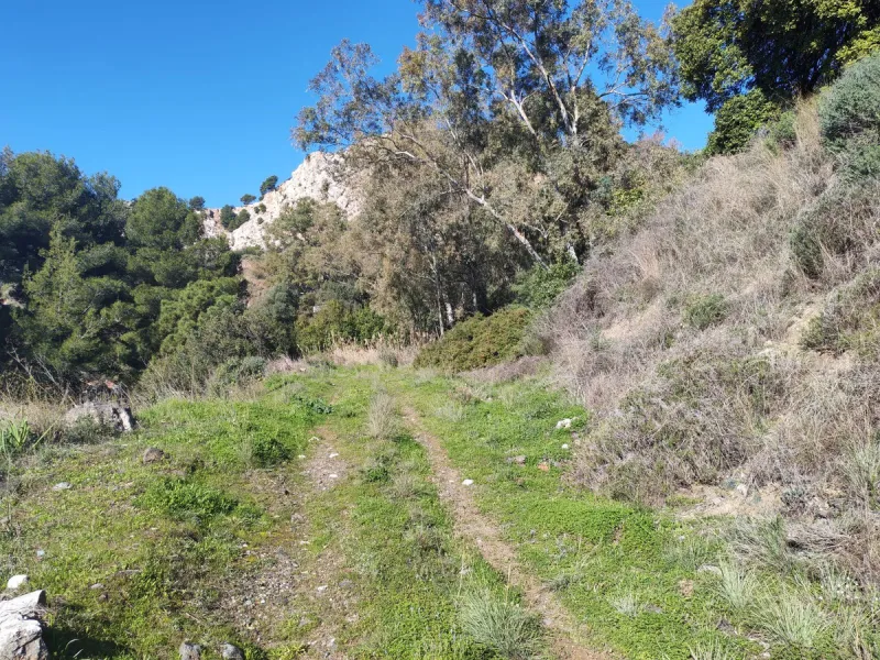 Plot - Land в продаже в Marbella, Málaga. Площадь участка 17000 м²