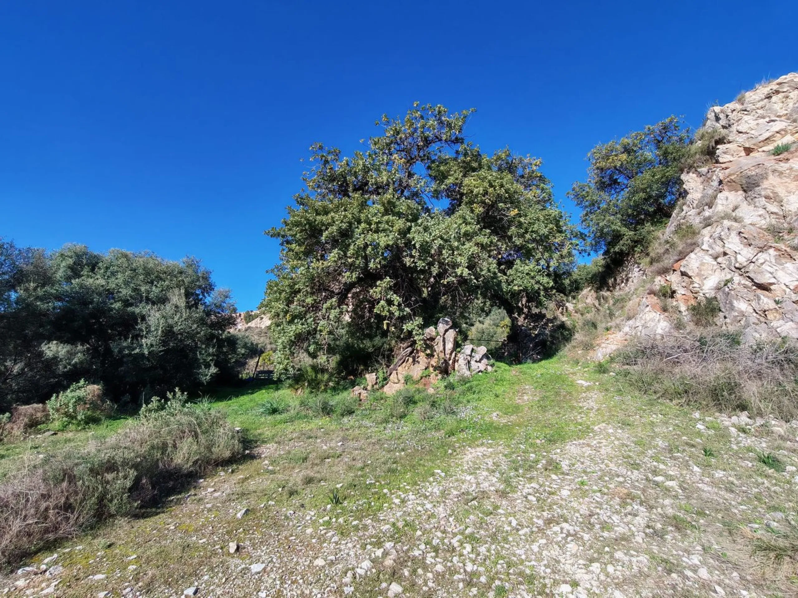 Plot - Land в продаже в Marbella, Málaga. Площадь участка 17000 м²