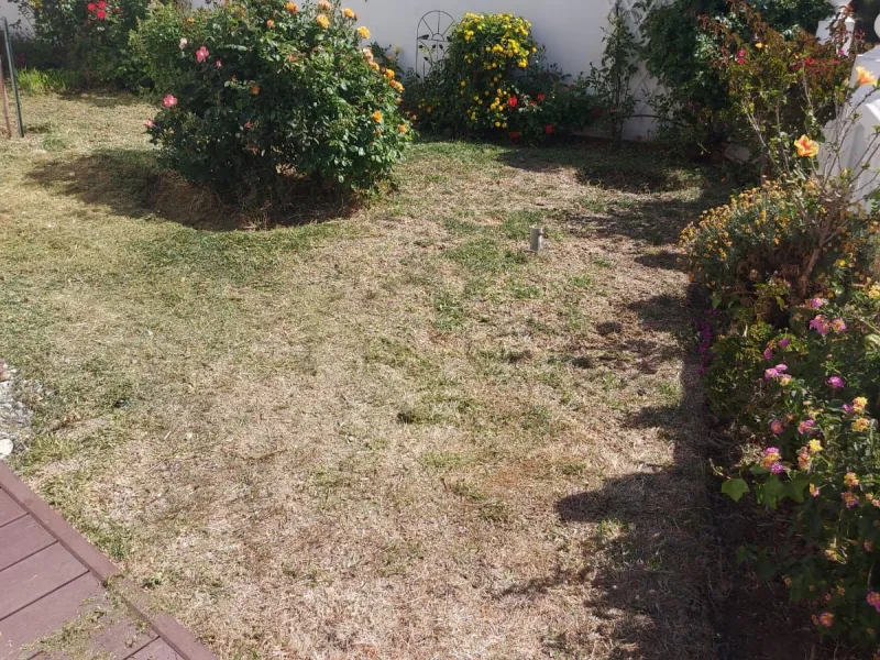 Viewings from beginning of may as now renter is leaving end of april