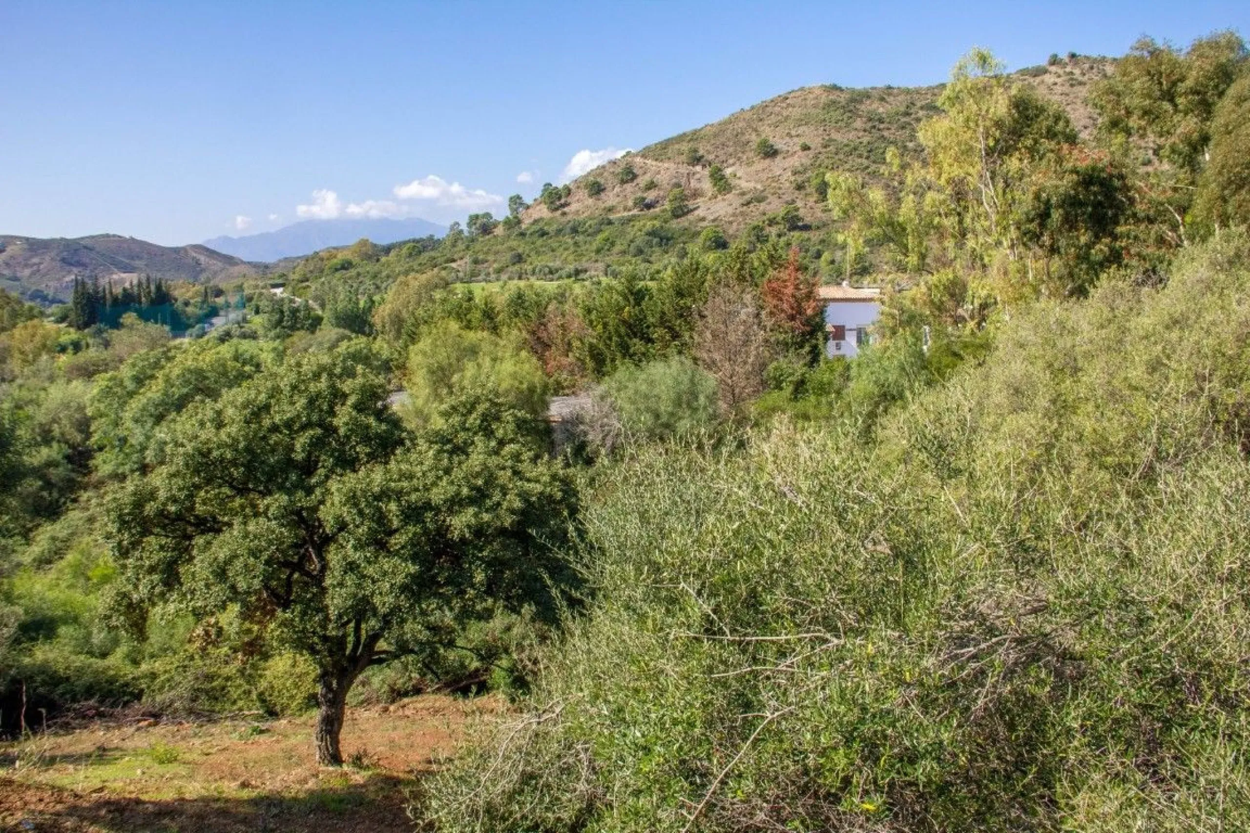 Nestled in the prestigious residential community of Puerto del Almendro in Benahavís, this 1,042 m2 residential plot enjoys a south west orientation and nature views, making it the ideal setting to create a bright villa with sun drenched terraces and spec