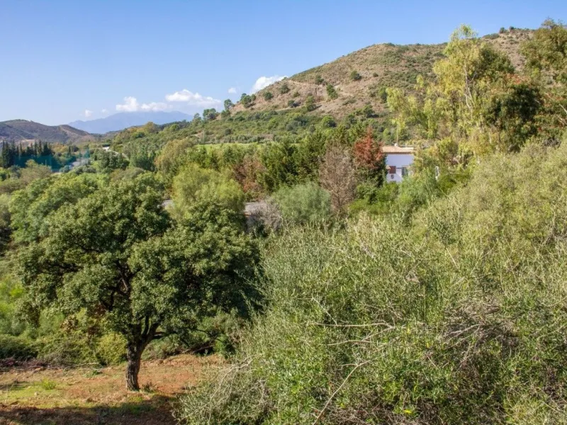 Nestled in the prestigious residential community of Puerto del Almendro in Benahavís, this 1,042 m2 residential plot enjoys a south west orientation and nature views, making it the ideal setting to create a bright villa with sun drenched terraces and spec