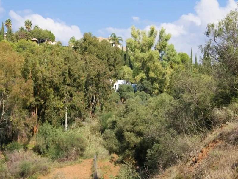 Nestled in the prestigious residential community of Puerto del Almendro in Benahavís, this 1,042 m2 residential plot enjoys a south west orientation and nature views, making it the ideal setting to create a bright villa with sun drenched terraces and spec
