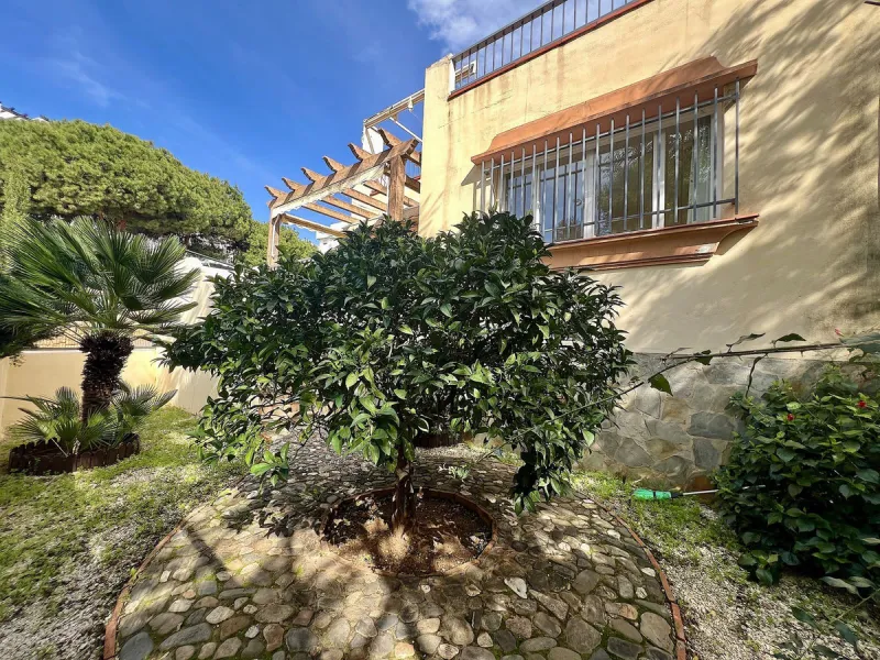 Charming Detached House with Terraces and Private Plot