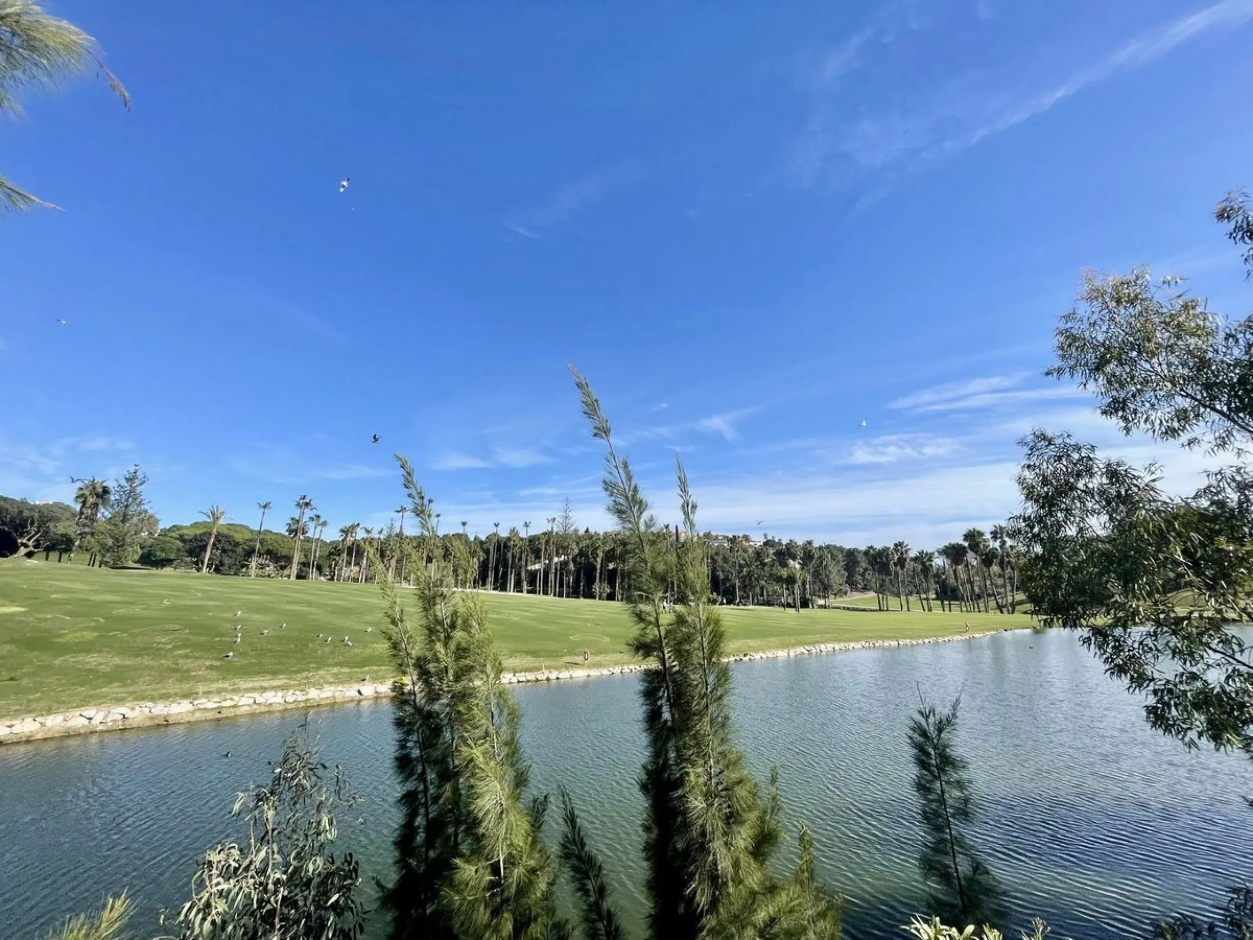 FIRST LINE OF THE GOLF COURSE IN TORREQUEBRADA, BENALMÁDENA