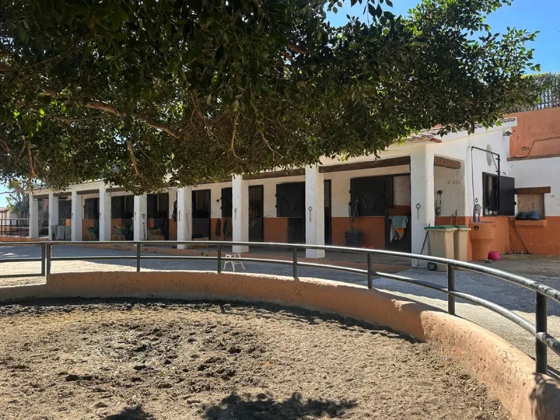 LIVE YOUR EQUESTRIAN DREAM IN THIS SPECTACULAR LUXURY FARMHOUSE!
